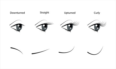 Types of natural eyelashes. Flat vector illustration