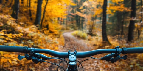 Mountain bike handlebars with a view of a colorful autumn forest trail, showcasing vibrant leaves and serene nature.