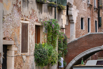 Romantic green corner in Venice canalway.. Canals view to old bridge, brick and stucco buildings with balcony boxes full of green plants and purple flowers, Venice. 