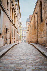 Small and Narrow Alley Cobblestone Street with a Short Sidewalk Guided by Weathered Stone Buildings