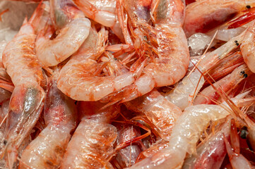 King prawns for sale at a fish market, Girona, Spain