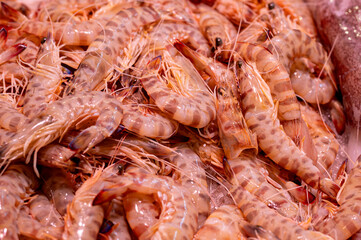 King prawns for sale at a fish market, Girona, Spain