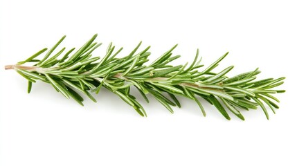 Fototapeta premium A close-up of a single rosemary stem, resting on a white background, highlighting its aromatic and natural texture for herb-related visuals.