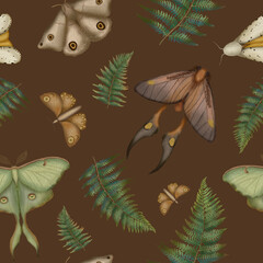  Botanical Insect Moth and fern seamless pattern, nature background