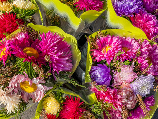  The picturesque flowers as a background