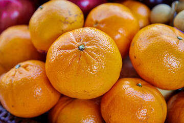 Close-up of oranges at the market