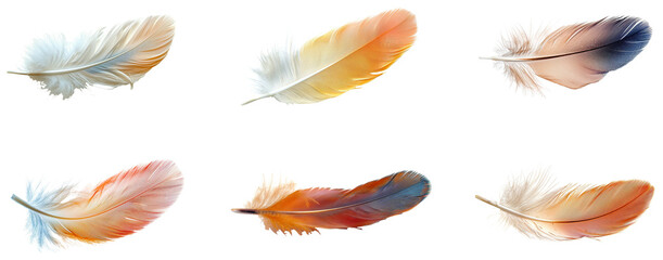 Fototapeta premium Colorful feathers arranged artistically. Set png isolated on transparent background