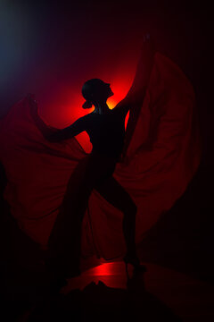 Silhouette of a woman in a red skirt dancing Latin in smoke in neon light. Dance concept. Bachata, Latina