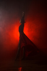 Silhouette of a woman in a red skirt dancing Latin in smoke in neon light. Dance concept. Bachata,...