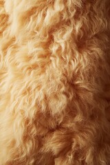 Close Up, Golden, Soft, Fluffy, Sheepskin Rug, Texture, Background, Detail, Warmth, Comfort, Cozy.