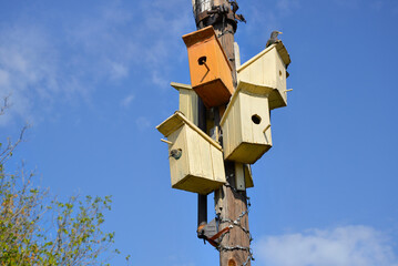 Set of birdhouses on an old electric pole. Welcoming birds returned from warm countries, people placed birdhouses for them on an old electric pole. Protection of the environment, birds.