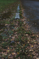 A broken curb on an old paved road. A road sprinkled with dry leaves
