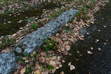 A broken curb on an old paved road. A road sprinkled with dry leaves