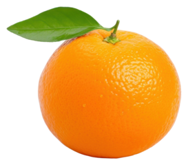 PNG Grapefruit plant food antioxidant.