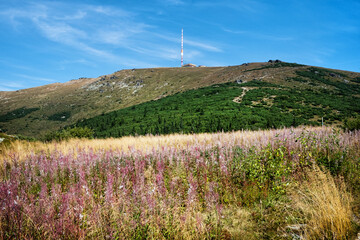 Kralova Hola from Sumiac, Slovakia © vrabelpeter1