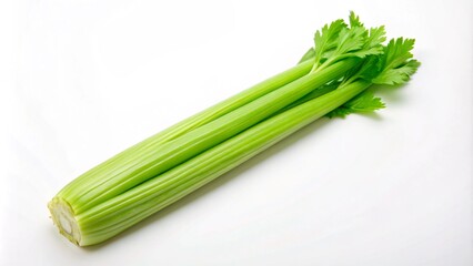 A fresh stalk of celery with green leaves isolated on a white background.