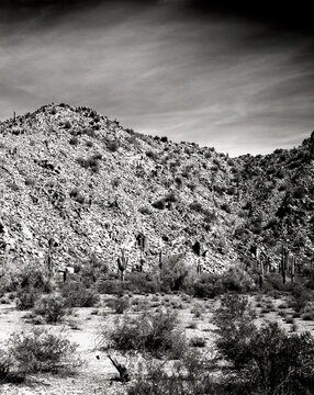 Monochrome Image Sacaton Mountains Central Sonora Desert Arizona