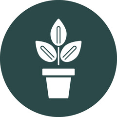 Indoor Plants Icon Design