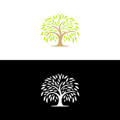willow tree nature modern logo vector illustration template design © katsumatakun