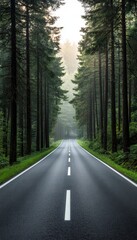 Obraz premium A serene road winding through a lush forest with tall trees under soft morning light.