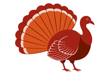 Stunning Turkey Line Art Vector Illustration Featuring Fanned Feathers for Art Enthusiasts
