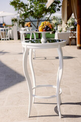 Outdoor picnic setup with grapes and plums on a wooden table.