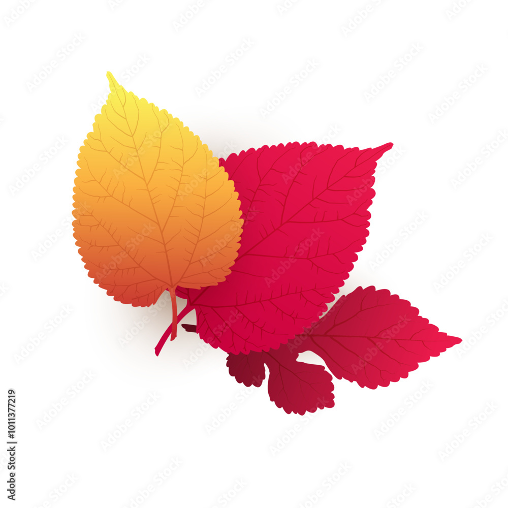 Poster three various red, brown and golden autumn fallen tree leaves on white background - isolated design 