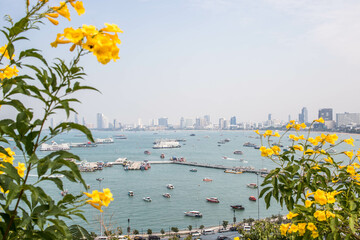landscape with flowers and trees