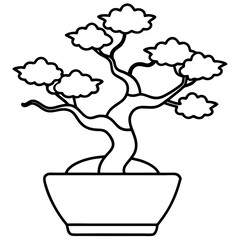  bonsai tree