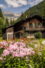 French Alps landscape in summer