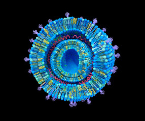 Cationic lipoplexe structure. Cationic lipoplexes are one type of Lipid Nanoparticles (LNPs) used for gene delivery. Nucleic acids intercalated between the lipid bilayers. 3d illustration