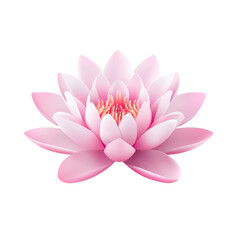 Elegant pink lotus flower illustration on transparent background