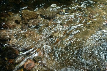 透明な川面の煌めき