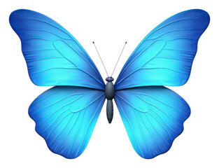 Fototapeta premium PNG Butterfly animal insect blue.