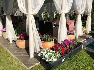 A large gazebo with white curtains, with a large abundance of flowers. Beautiful gazebo with a...