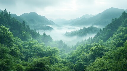 Fototapeta premium a stunning nature based background perfect for zoom online meetings or video calls featuring lush greenery ,serene landscapes with ample blank copy space for text or logos