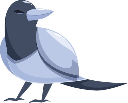 recommend clip art: Cartoon magpie bird standing on two legs with big beak and blue and black feathers