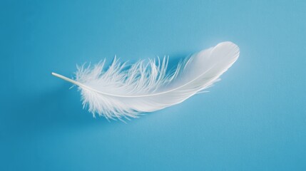 A depiction of a single white feather gracefully falling against a blue background, highlighting the softness of floating feathers