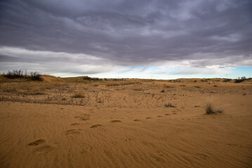Saskatchewan sand dunes in autumn