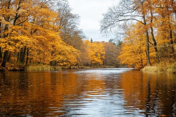 A serene river meanders gently through an enchanting forest adorned with vibrant golden foliage, creating a stunning display of autumn's rich, warm hues and tranquility.