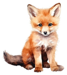 Obraz premium PNG Animal wildlife mammal fox.