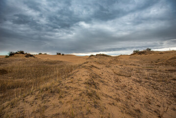 Saskatchewan sand dunes in autumn