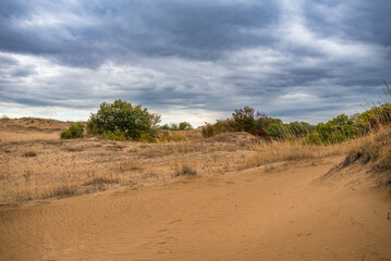 Saskatchewan sand dunes in autumn