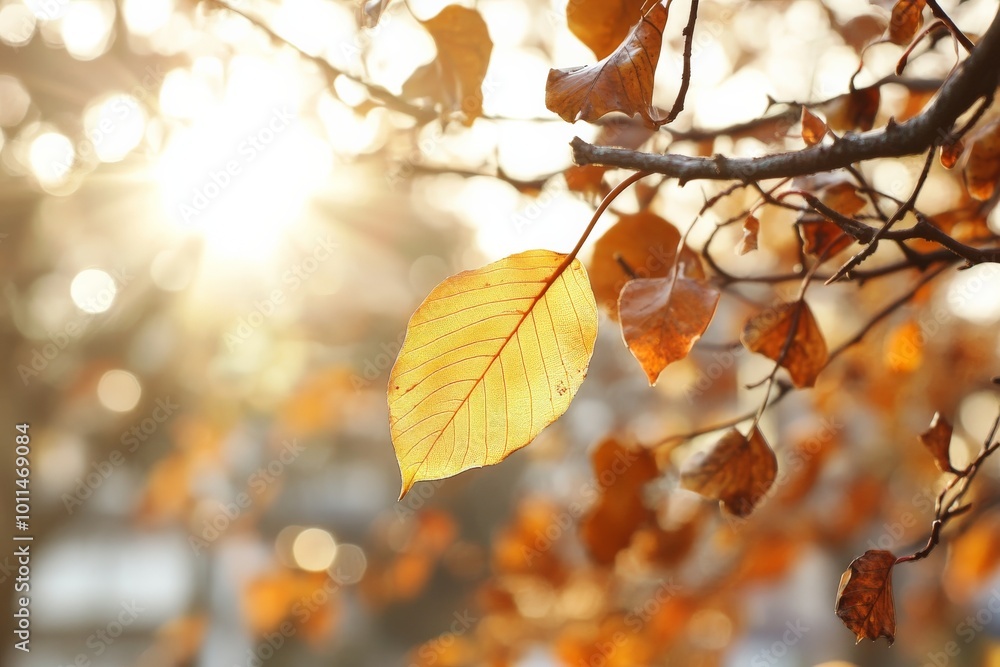 Poster a single golden leaf hangs delicately from a tree branch, with sunlight streaming through, creating 