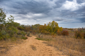 Saskatchewan sand dunes in autumn