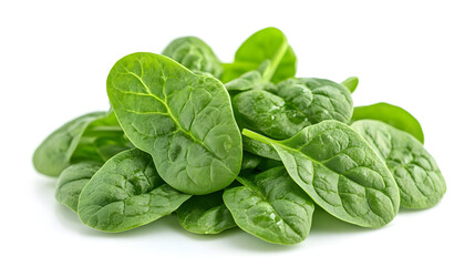 Obraz premium Freshly harvested organic green spinach leaves in natural studio lighting with copy space. Healthy,nutritious leafy vegetable background for culinary,gastronomy,or healthy lifestyle concepts.