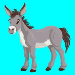 Donkey Vector illustration Artwork 
