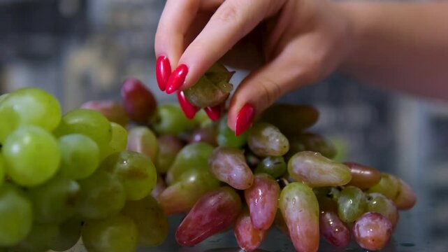 Close shot of a hand holding and squeezing some grapes with juice coming out in slow motion. grape juice splashed