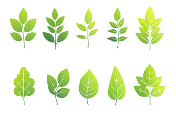 Naklejka premium flat gradient icon set of leaves green color theme