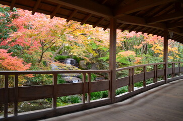 【兵庫県】姫路市・好古園の紅葉